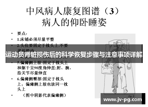 运动员肾脏损伤后的科学恢复步骤与注意事项详解