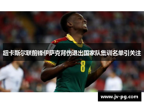 纽卡斯尔联前锋伊萨克背伤退出国家队集训名单引关注