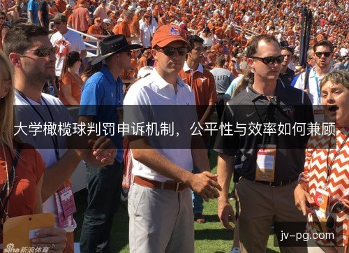 大学橄榄球判罚申诉机制,公平性与效率如何兼顾 大学橄榄球判罚申诉机制,公平性与效率如何兼顾